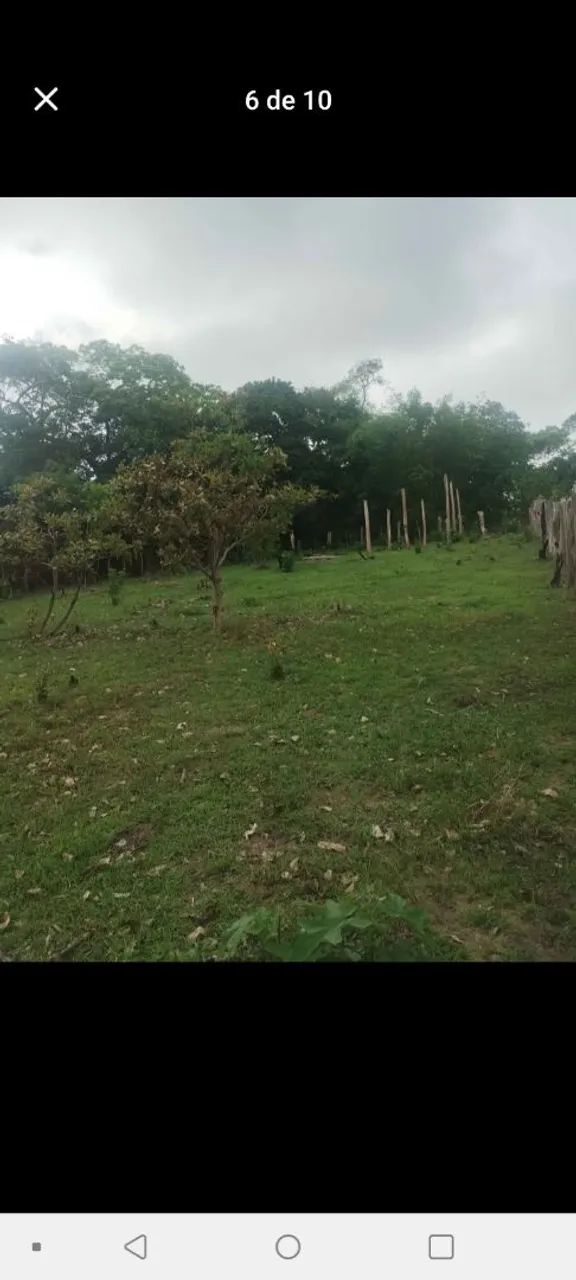 Terreno 10 por 30 vendo ou troco  - Foto 4