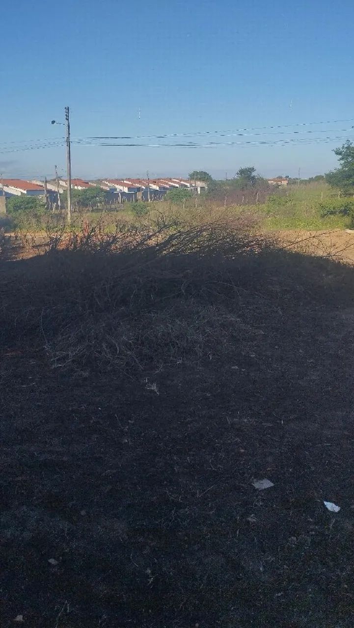Vende-terrenos - Foto 2