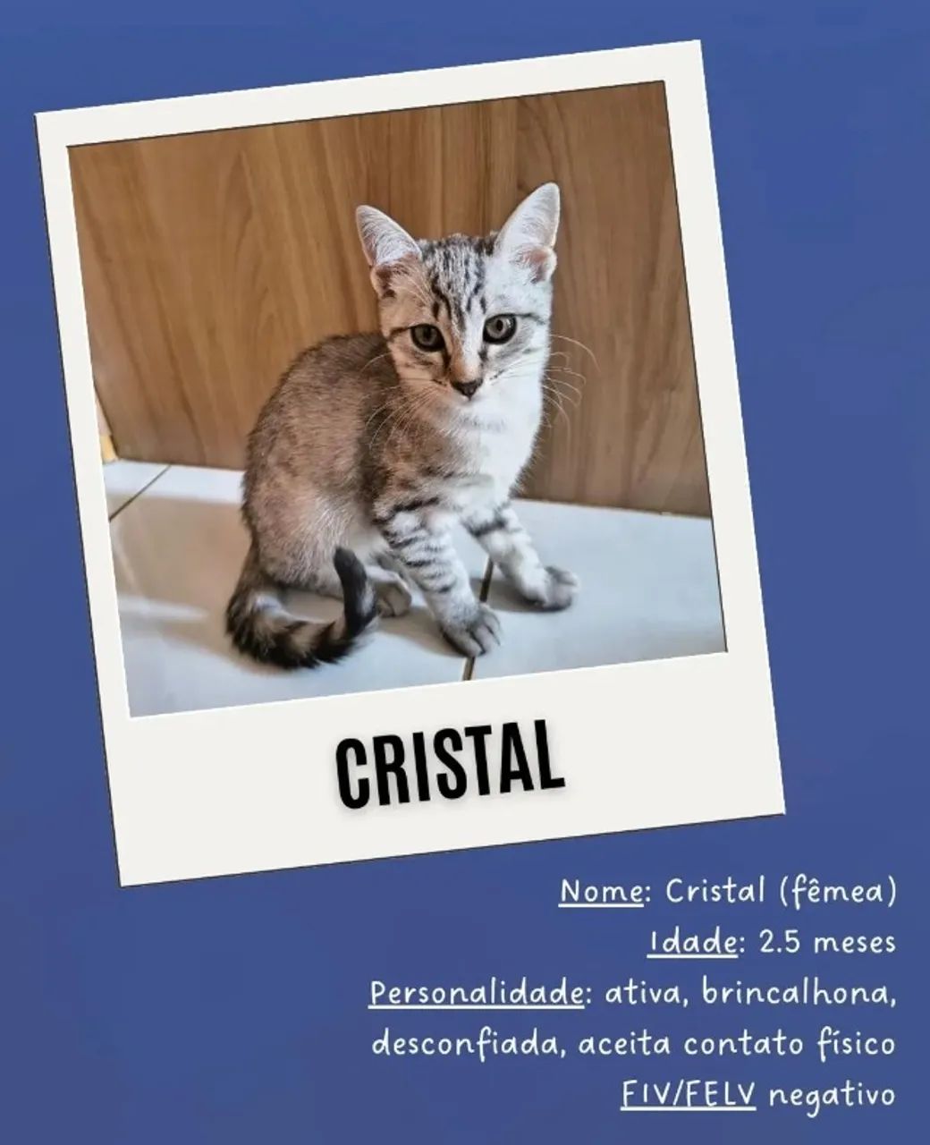 Cristal - Adoção responsável
