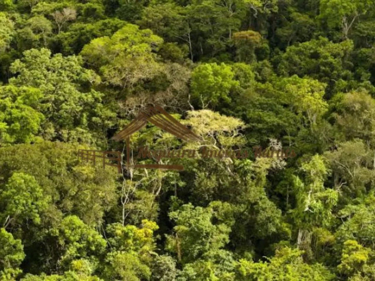 Fazenda com 320 alqueires com mata para reserva ambiental. - Foto 4