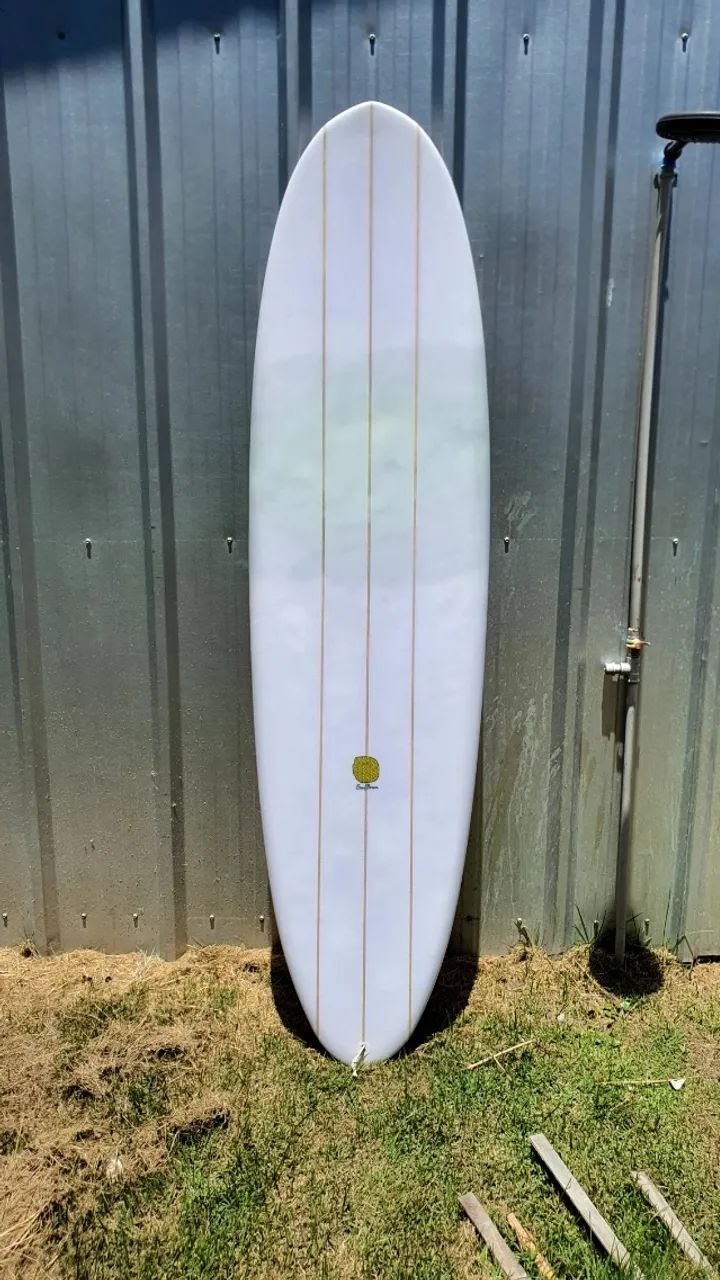 Prancha de surf fun board