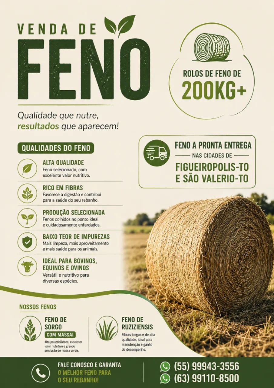 Feno de Alta Qualidade à Pronta Entrega 