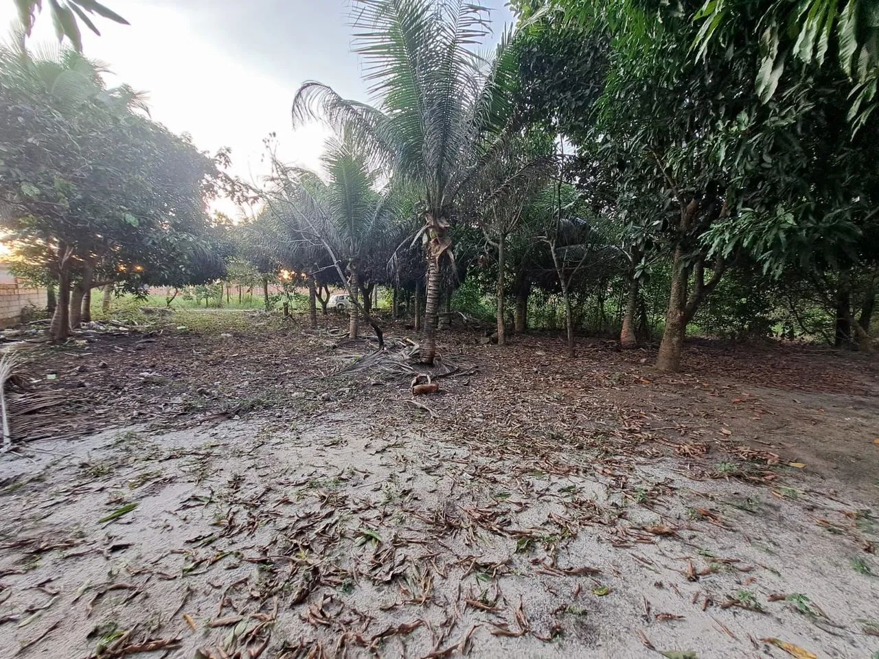 2 terrenos em Mucuri Bahia  - Foto 2