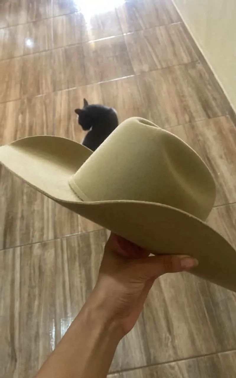 Vendo chapéu eldorado