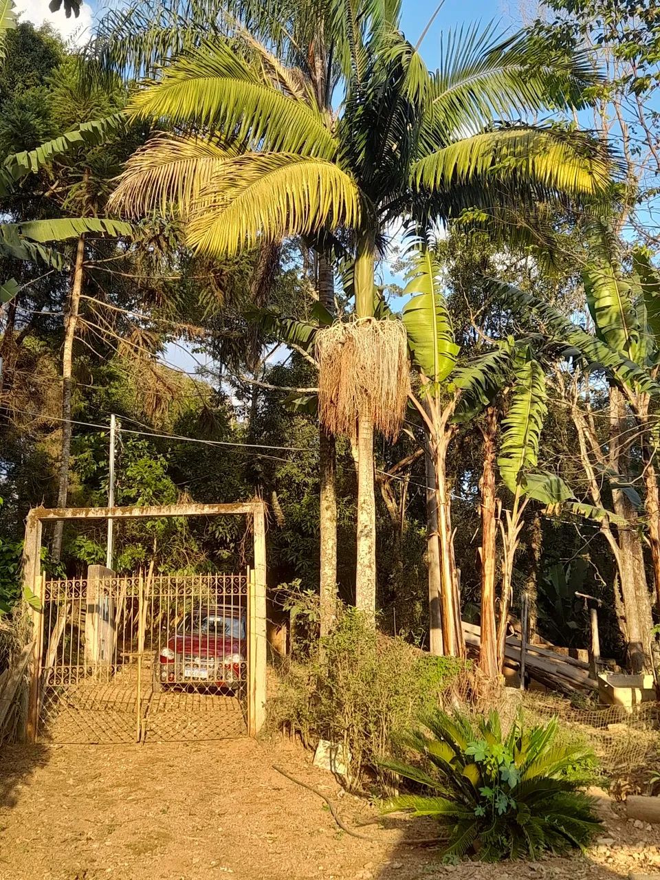 Excelente chácara 2.300mts escriturada poços de caldas  - Foto 2