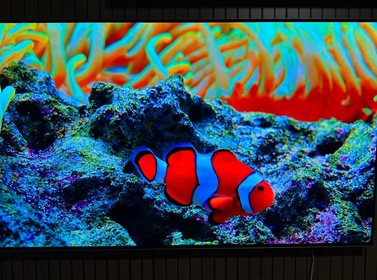 Smart tv OLED LG 55 polegadas  - Foto 3