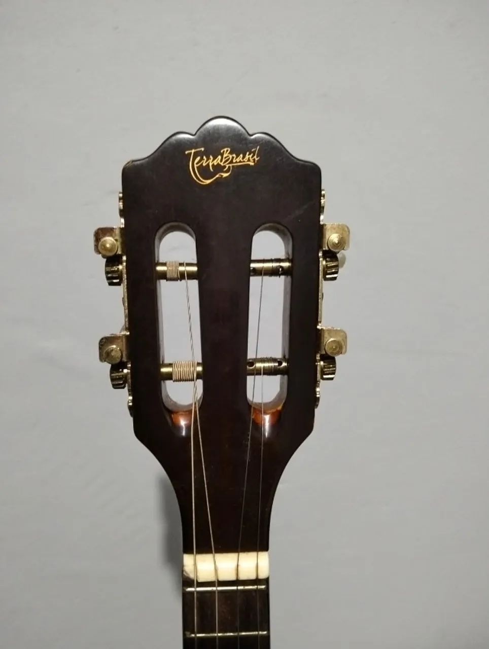 CAVAQUINHO TAGIMA TERRA BRASIL
