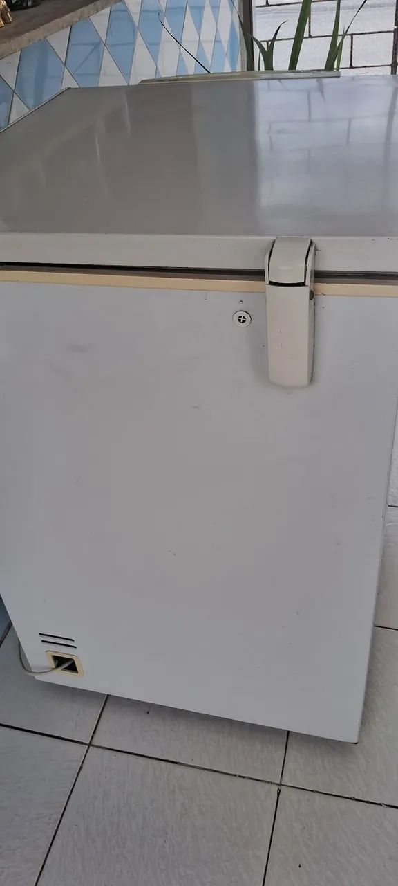 Frezer Eletrolux H162 - Foto 3