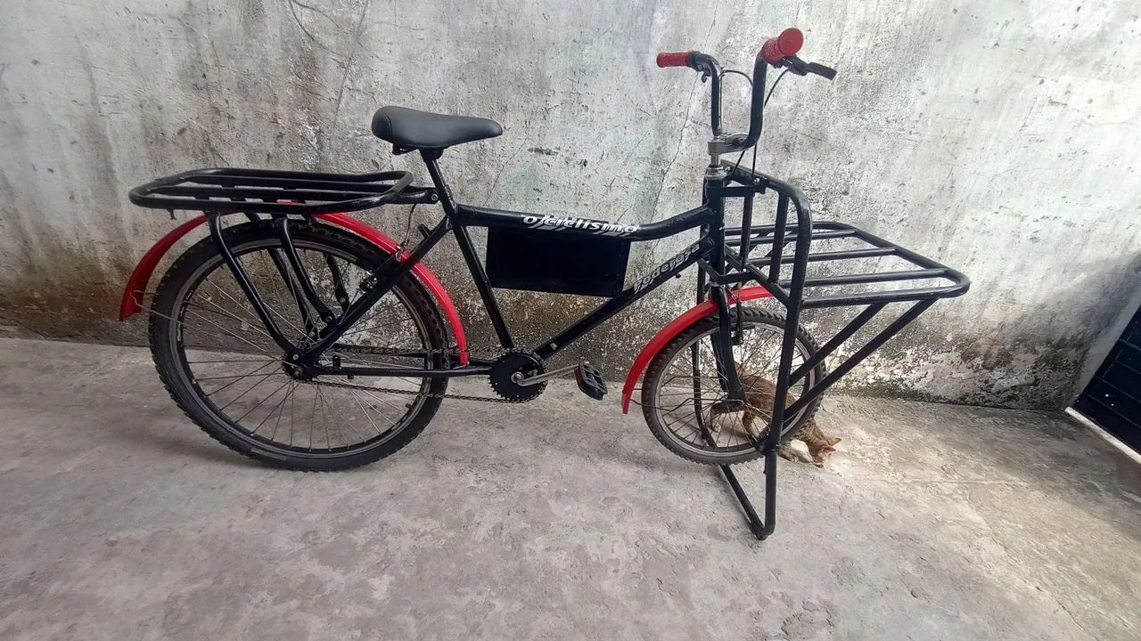 Bicicleta cargueira  - Foto 2