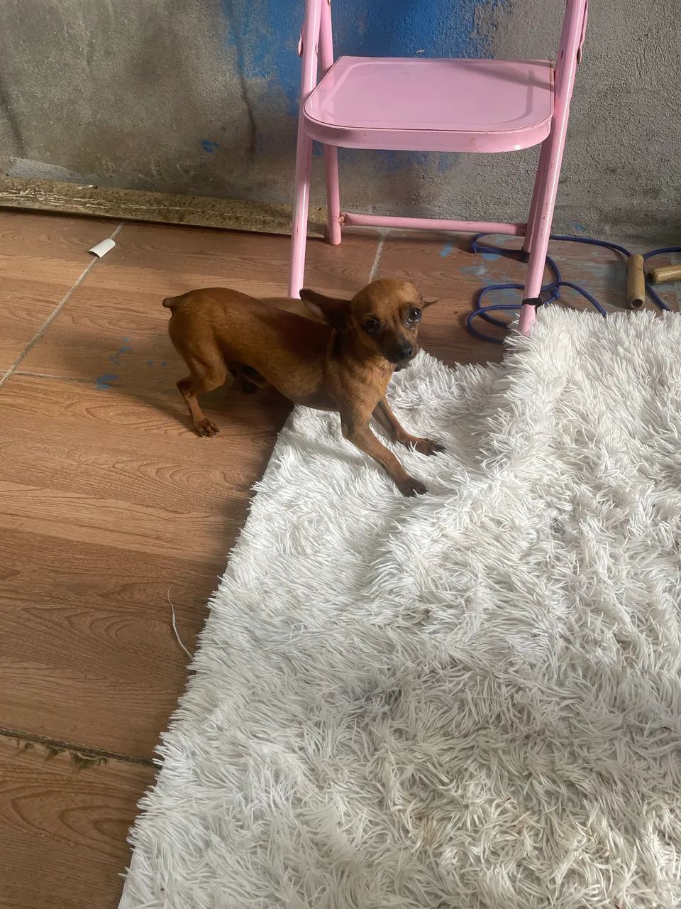Namorada pro kiko - Foto 2