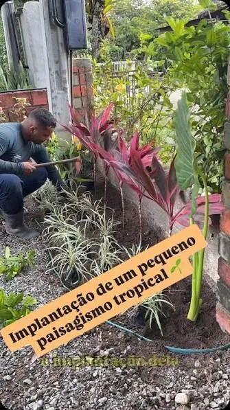 G&P Jardins e Paisagismo - Foto 5