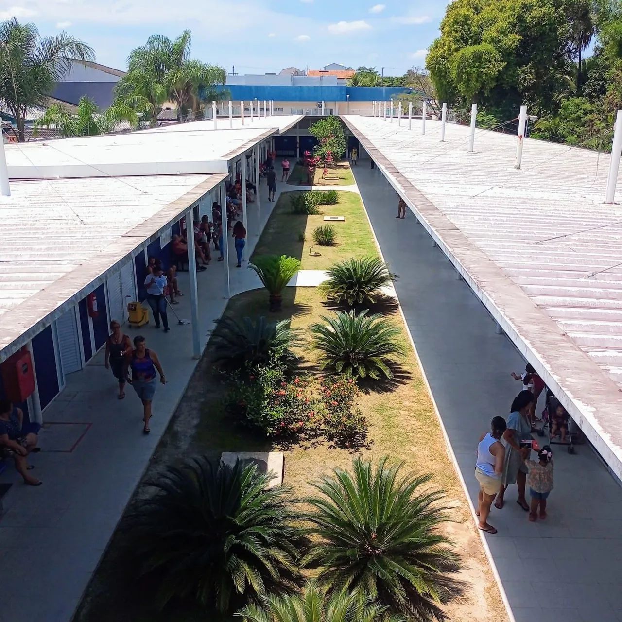 Jardineiro  - Foto 4