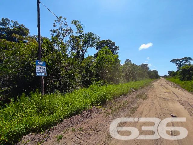 Terreno | São Francisco do Sul | Ervino - Foto 2