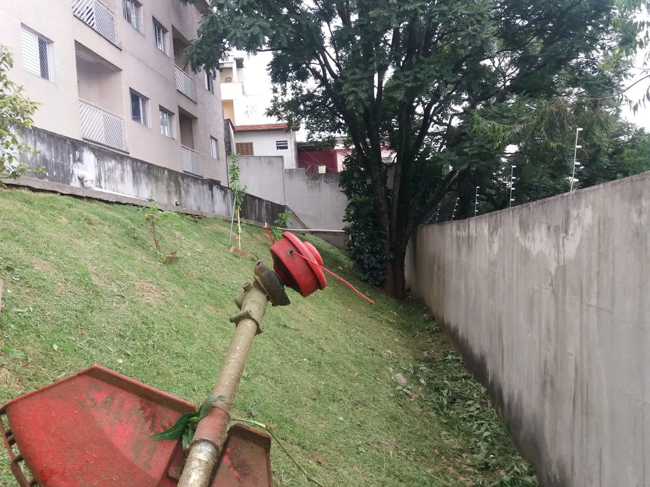 Corte de mato e gramado em Guarulhos - Sp  - Foto 3