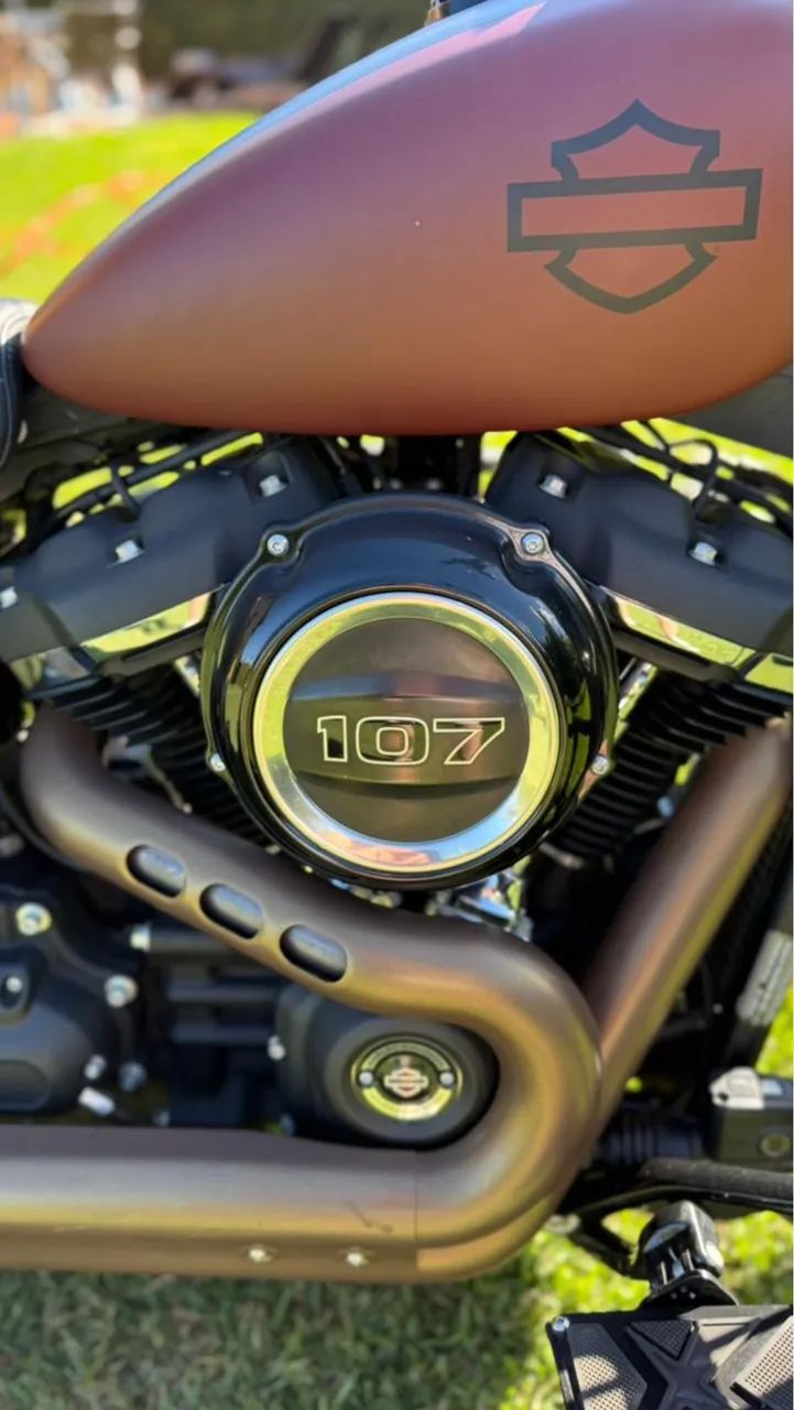 HARLEY-DAVIDSON FAT BOY 107 2018 - Foto 4