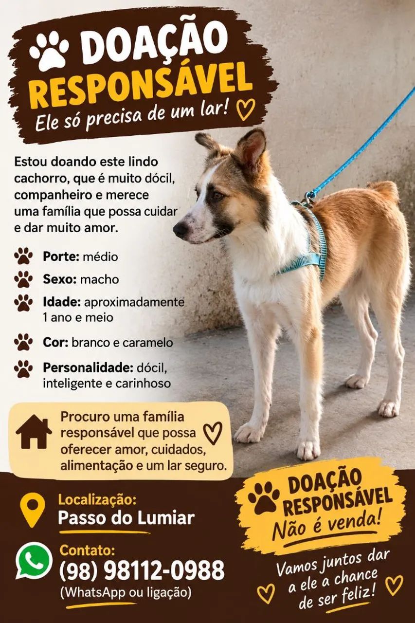 doacao
