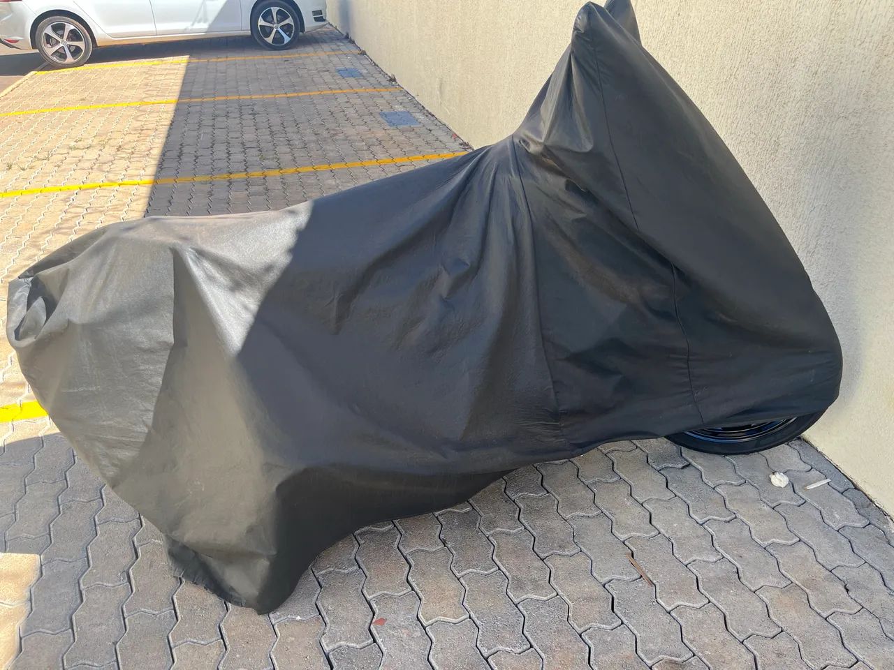 Fz15