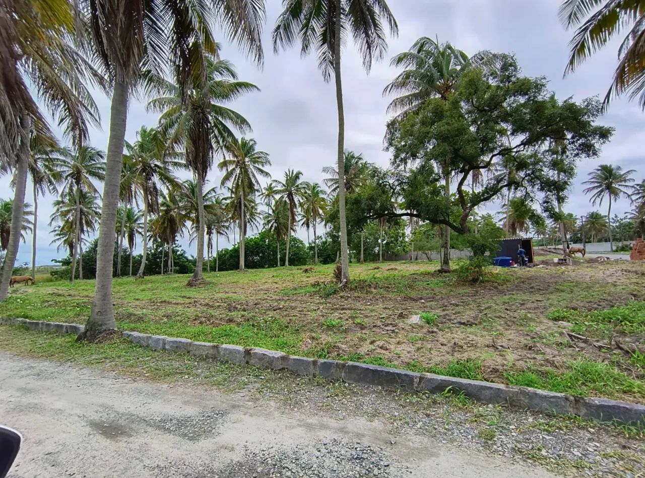 Lotes em Porto de Galinhas!! - Foto 4