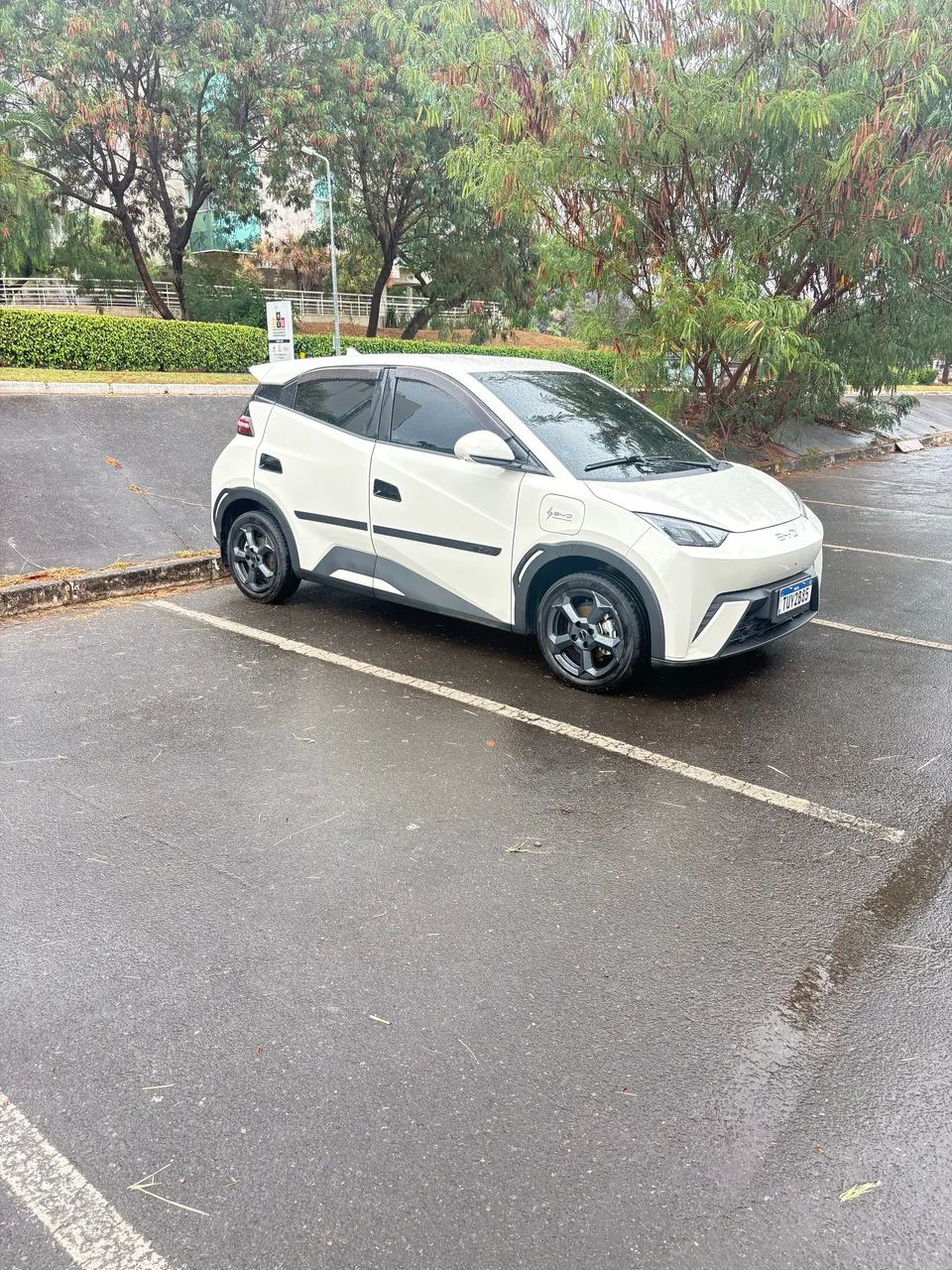 BYD Dolphin Mini (Elétrico) 2025 - Foto 5