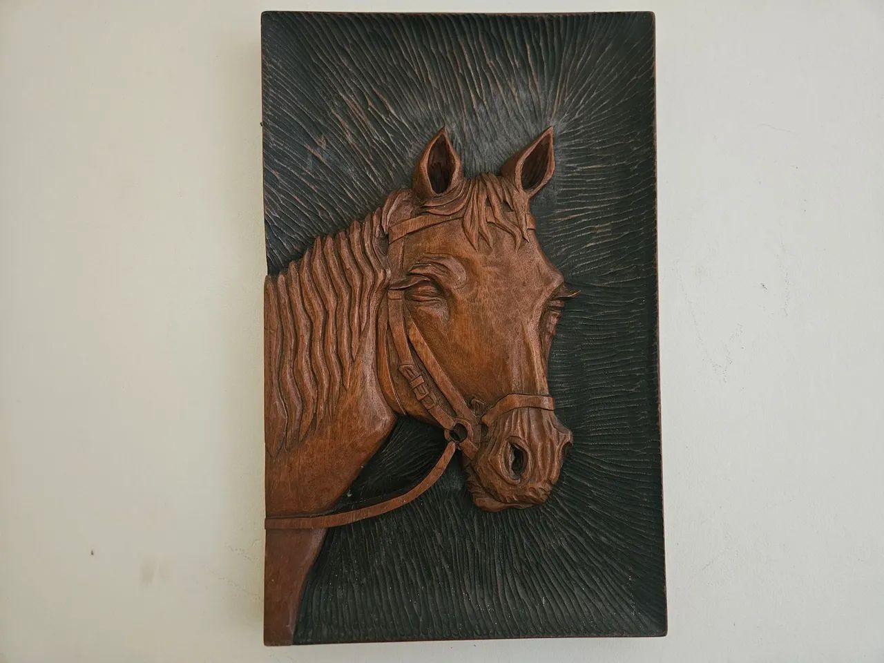 Cabeça de cavalo  - Foto 3