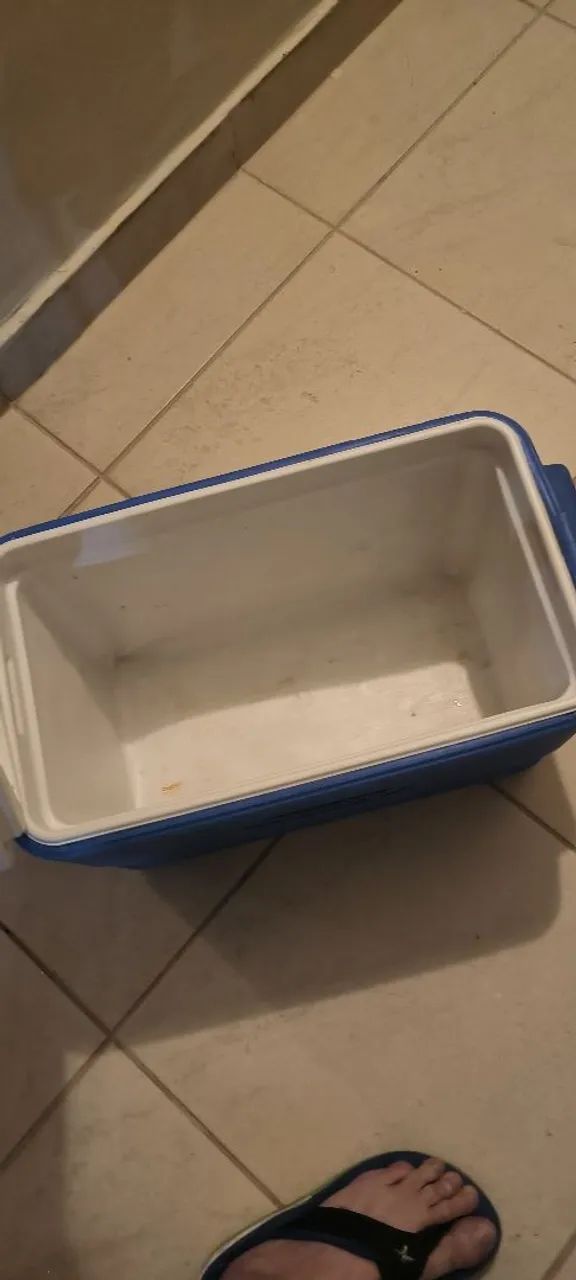 Caixa térmica  - Foto 2
