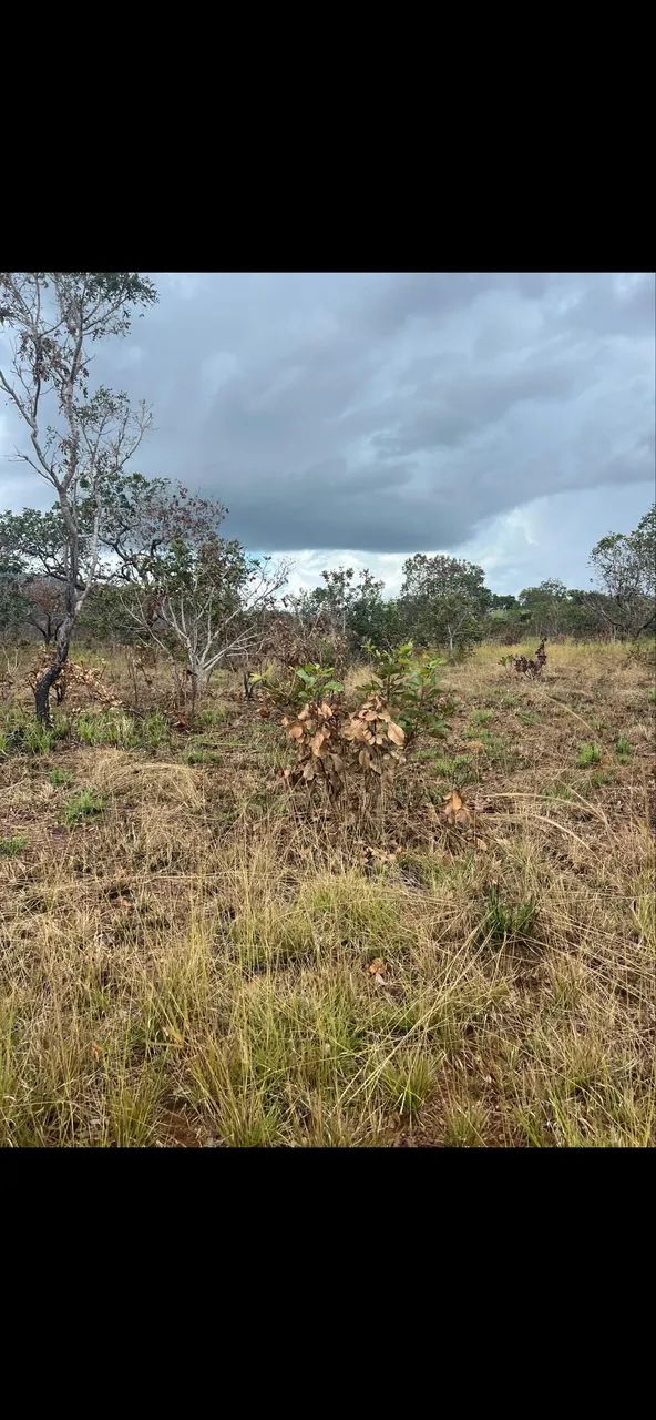 Venda de área rural  - Foto 4