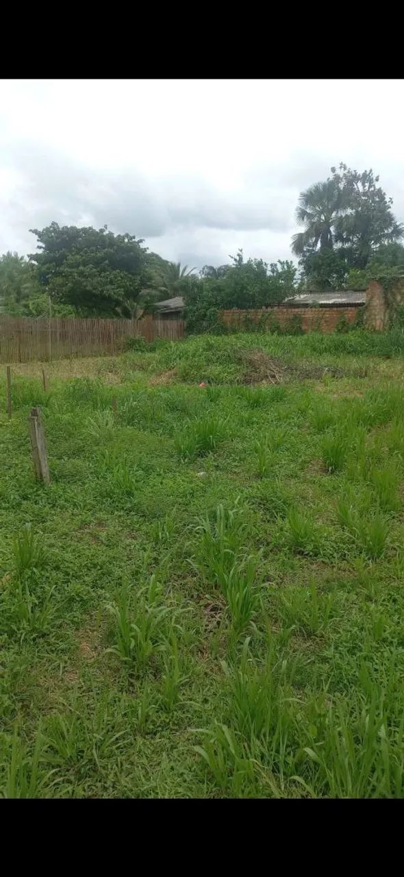 Terreno 