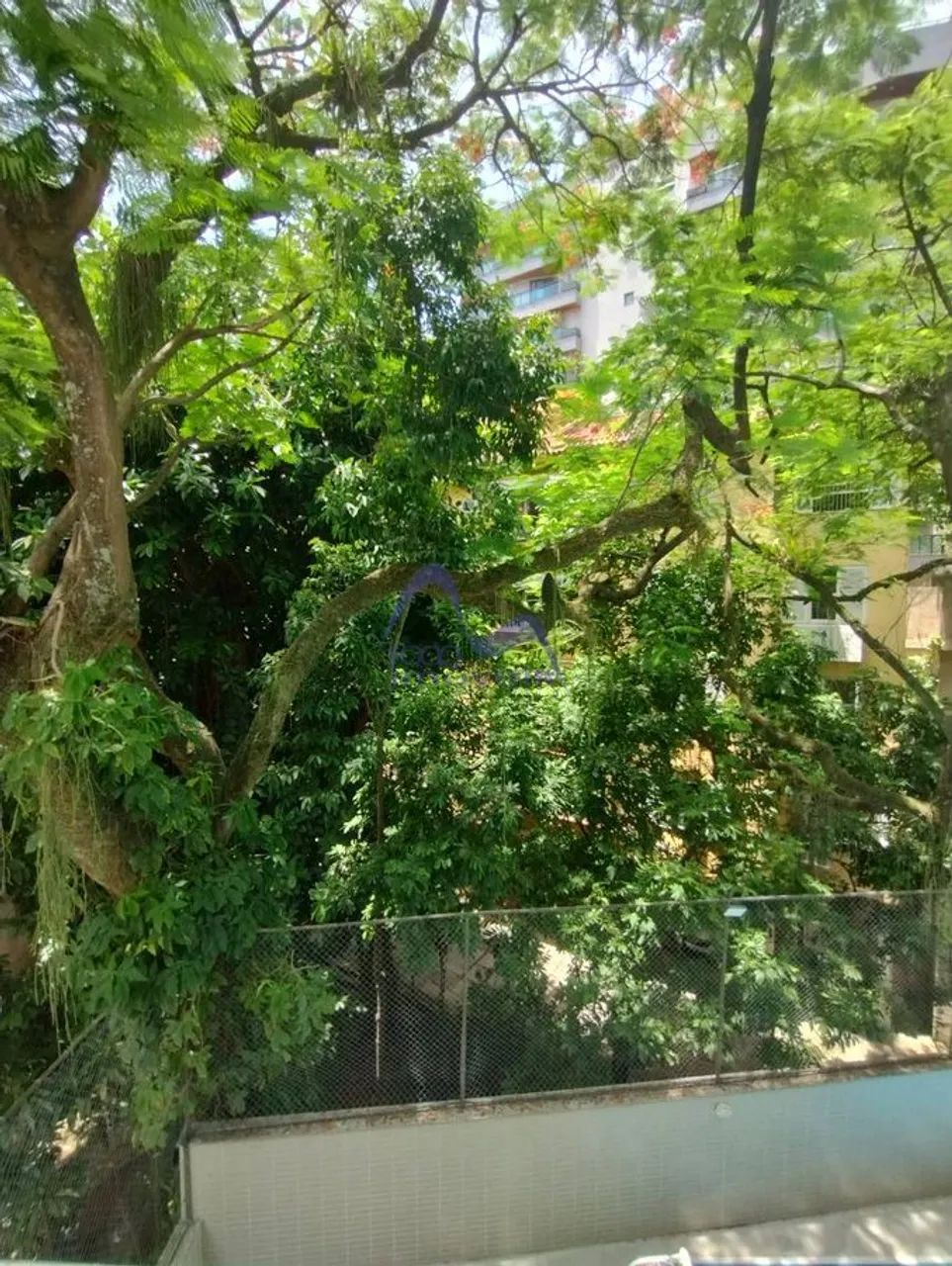 Apartamento, Lagoa - Rio de Janeiro - Foto 3