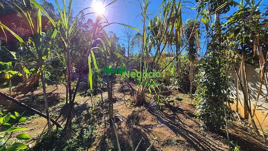 CHÁCARA FORMADA COM POMAR Á VENDA EM PIQUETE-SP - Foto 2