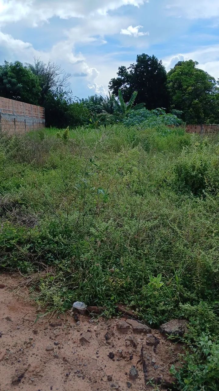 Terreno em Ribas do Rio Pardo - Foto 4