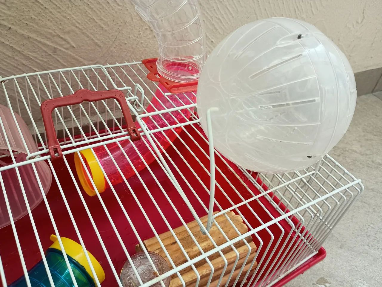 Gaiola hamster64962189281539122