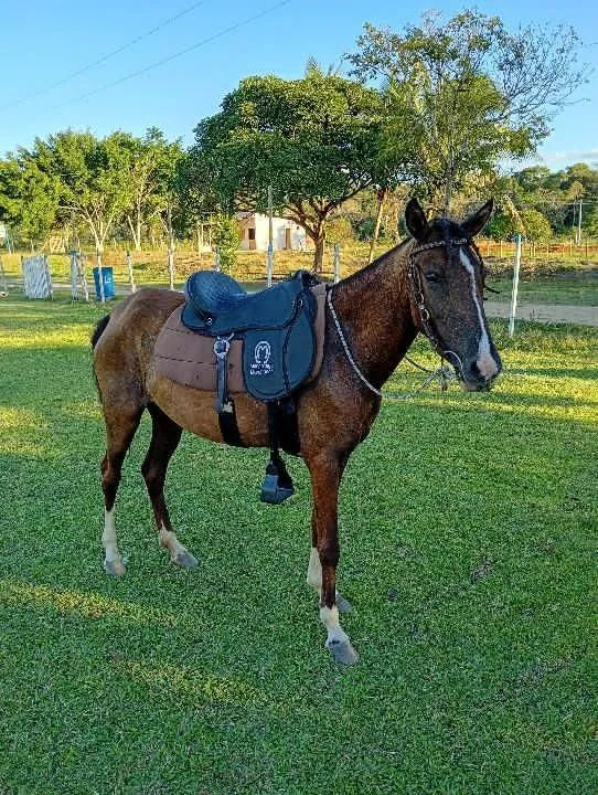 Porda bem novinha   - Foto 2