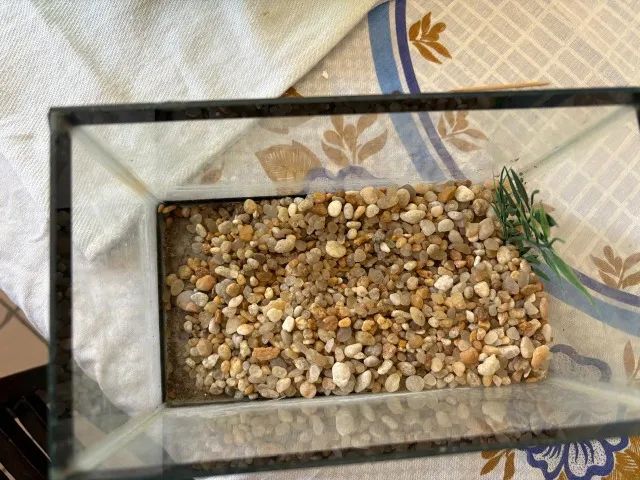 aquario - Foto 2