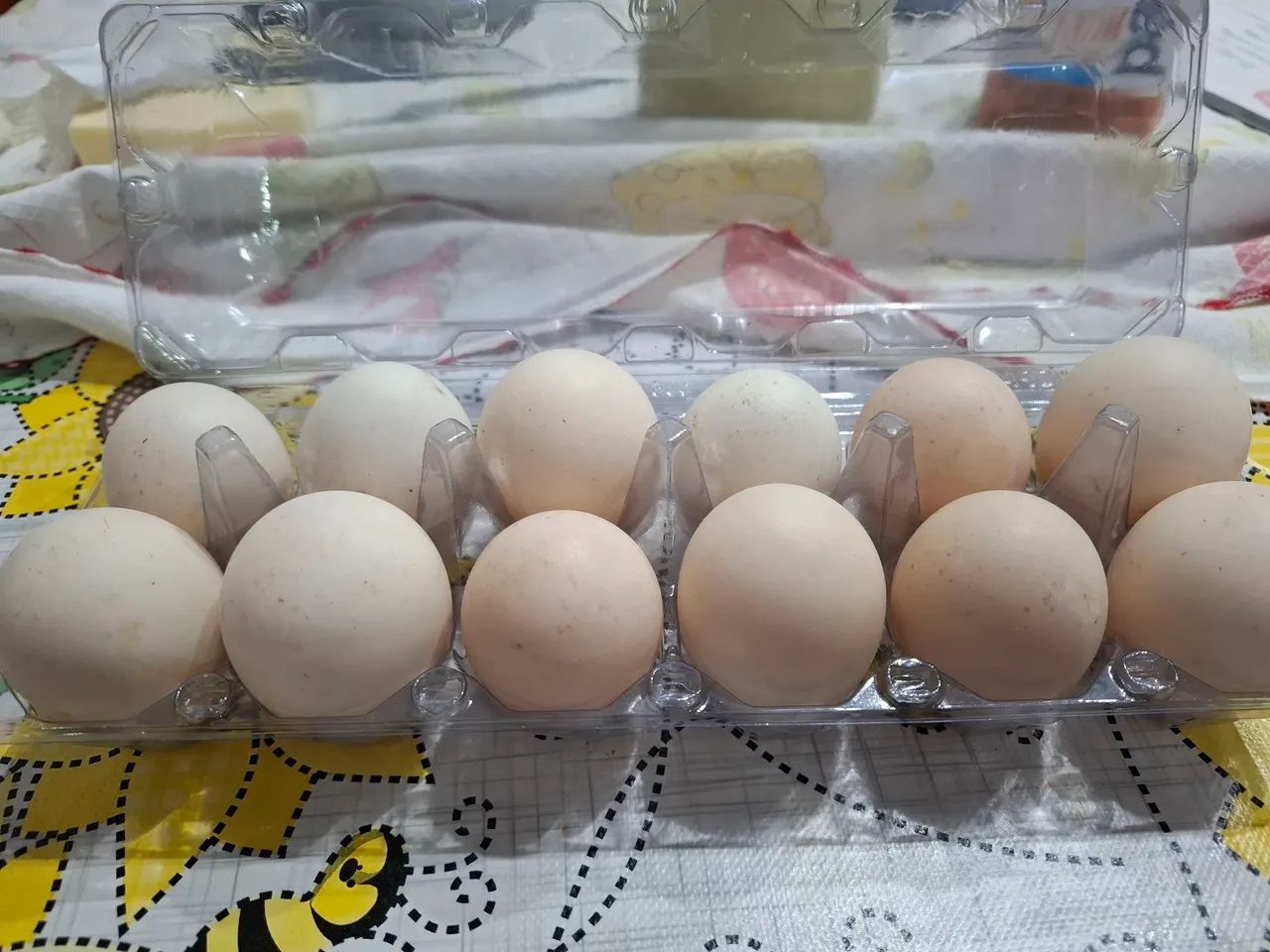 Ovos de pata