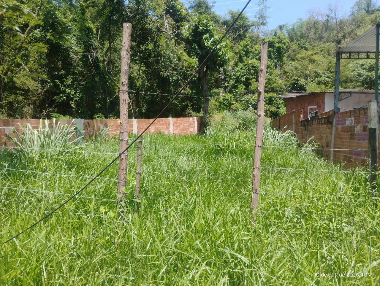 Vendo terreno  - Foto 2
