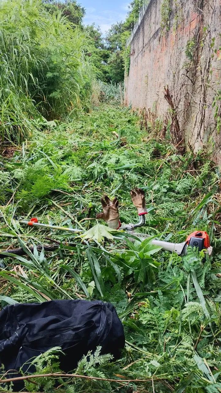 Manutenção de jardim, e serviço de roçagem. - Foto 6