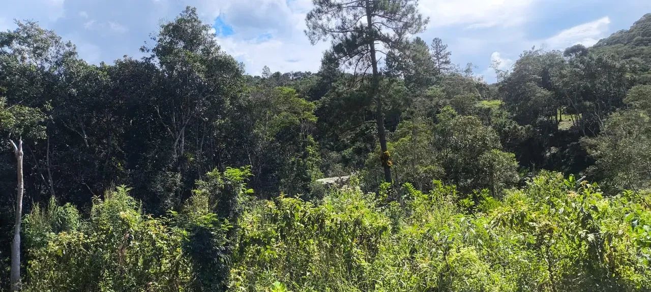 Chácara com piscina em Juquitiba - Foto 3
