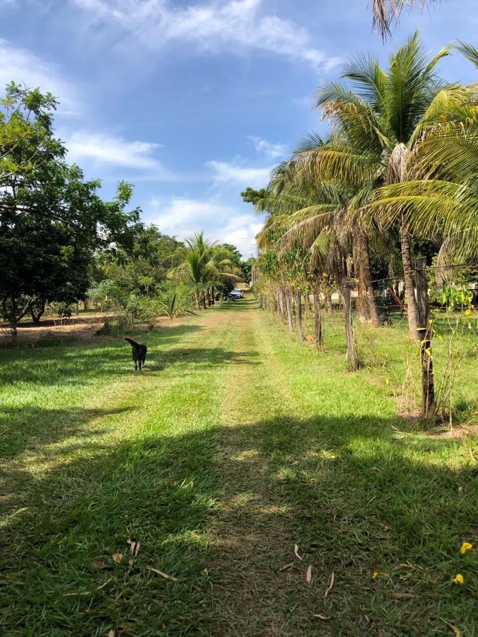 Casa/Rancho beira rio  - Foto 5