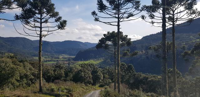 Sítio em Urubici/chácara em Urubici/ - Foto 2