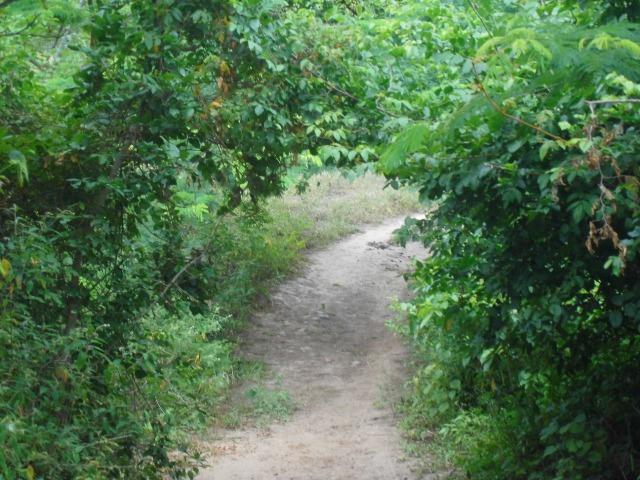 Fazenda em Mundo novo - Foto 10