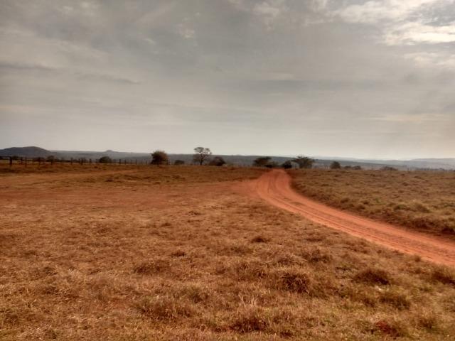 Fazenda Plana. 833 Alq. Iporá-GO. (Abaixo do Preço)