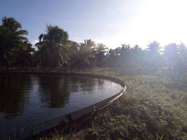 Fazenda 87,31 tarefas em Conde - Foto 5