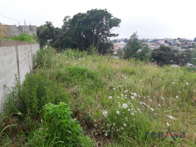Terreno em caxias do sul - Foto 2