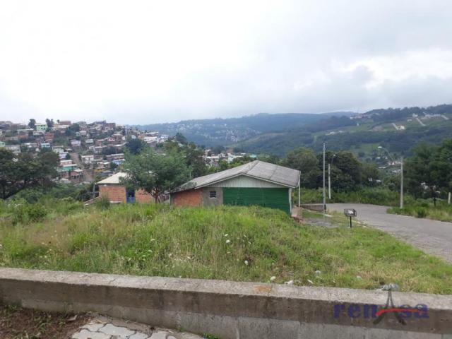 Terreno em caxias do sul - Foto 6