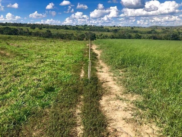 Fazenda em Paranatinga MT - Foto 19