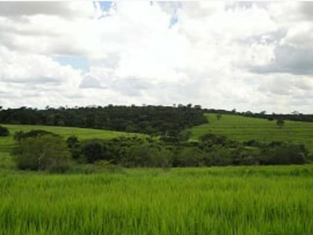 Fazenda 700 Alqueires - Região de Presidente Prudente-SP - Foto 7