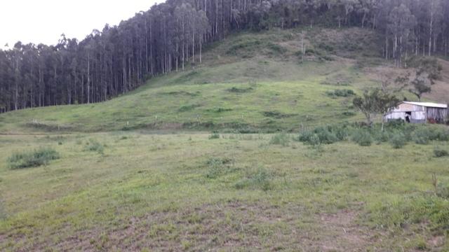 Fazenda - Foto 4