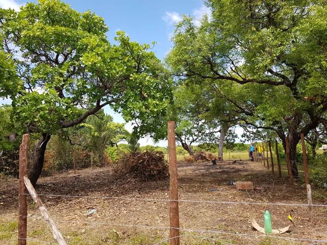 Terreno Joanes-Marajó 