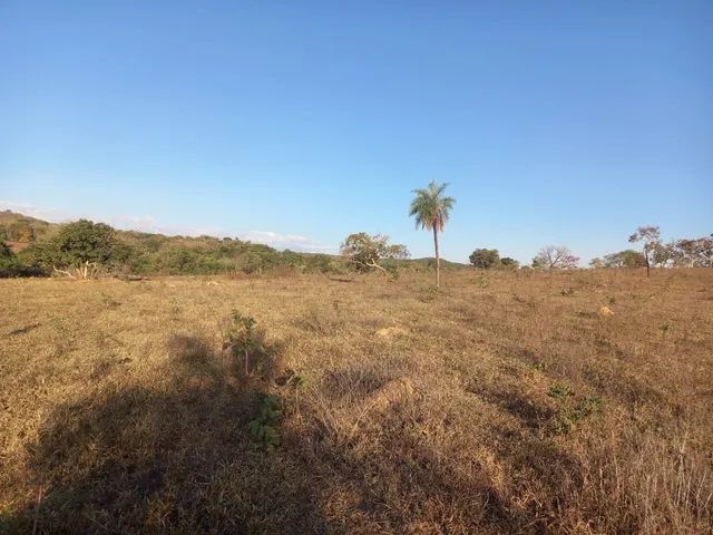 Fazenda 96 alq em Goianesia-GO - Foto 4