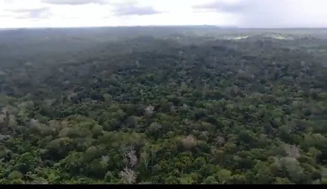 TERRA BARATA NO AMAZONAS  210  REAIS O HECTARE - Foto 3